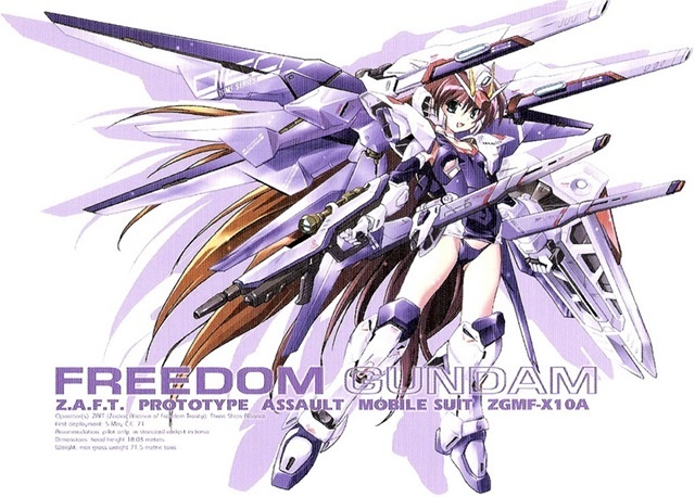 gundam freedom