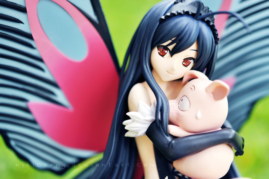 ヨウ アスガルド Accel World