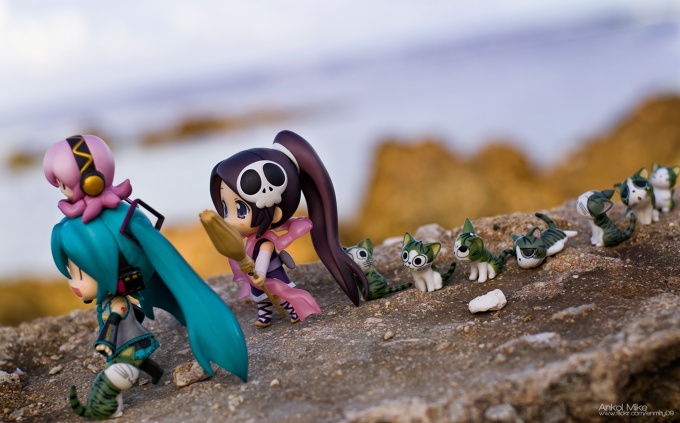 Neko-Miku baywalk!!! 