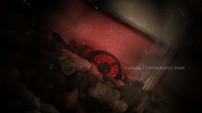 Sharingan Eye in a jar