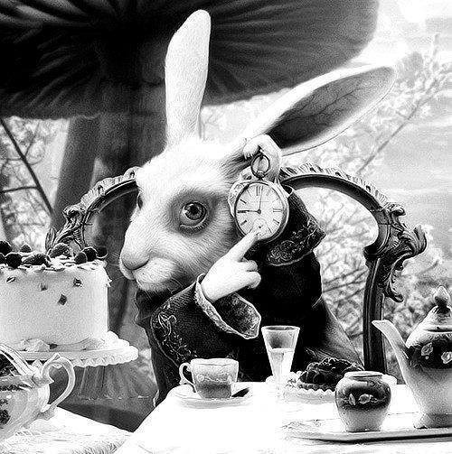 alice in the wonderland