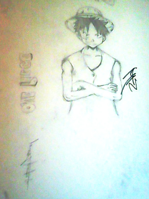 One Piece Luffy