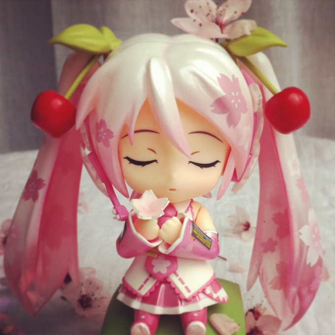 Sakura Miku