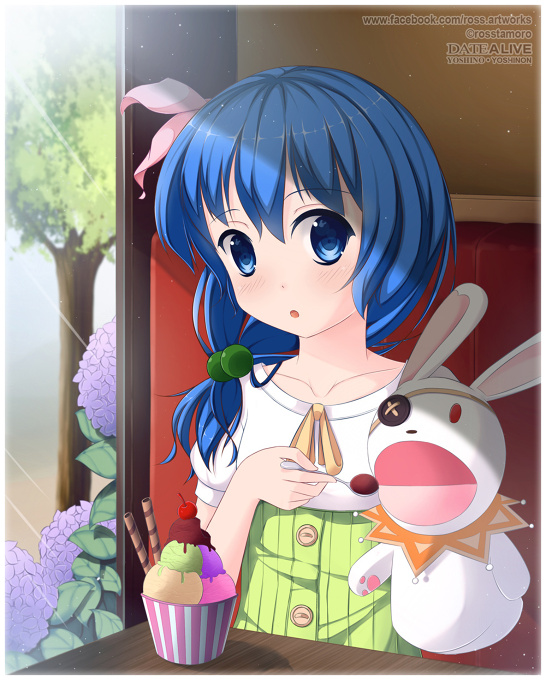 Yoshino and Yoshinon