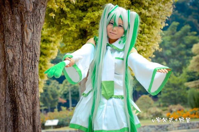Vocaloid Hatsune Miku (negi) 
