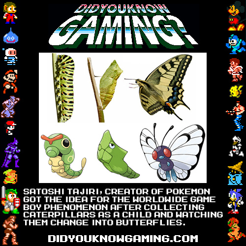 Thank you Caterpillars?