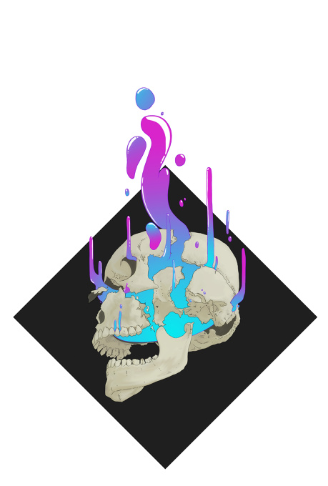 What is in your skull?