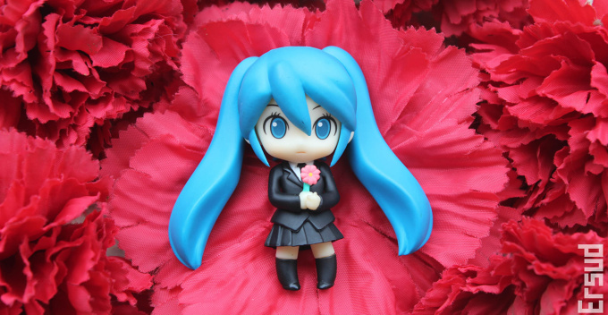 Miku's  flowers bed