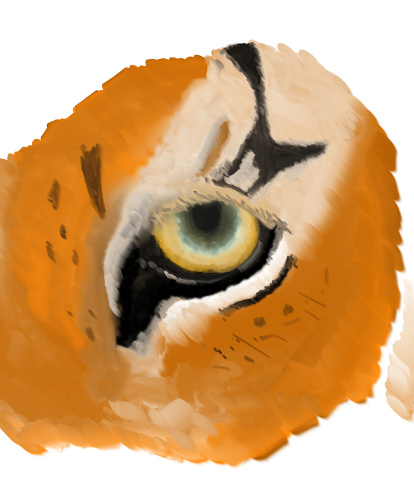 tiger eye
