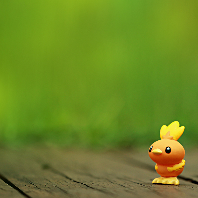 Torchic