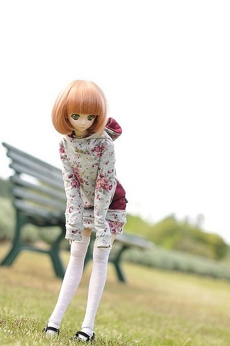 AKIRA (DOLL PHOTO)