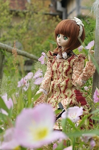 AKIRA (DOLL PHOTO)
