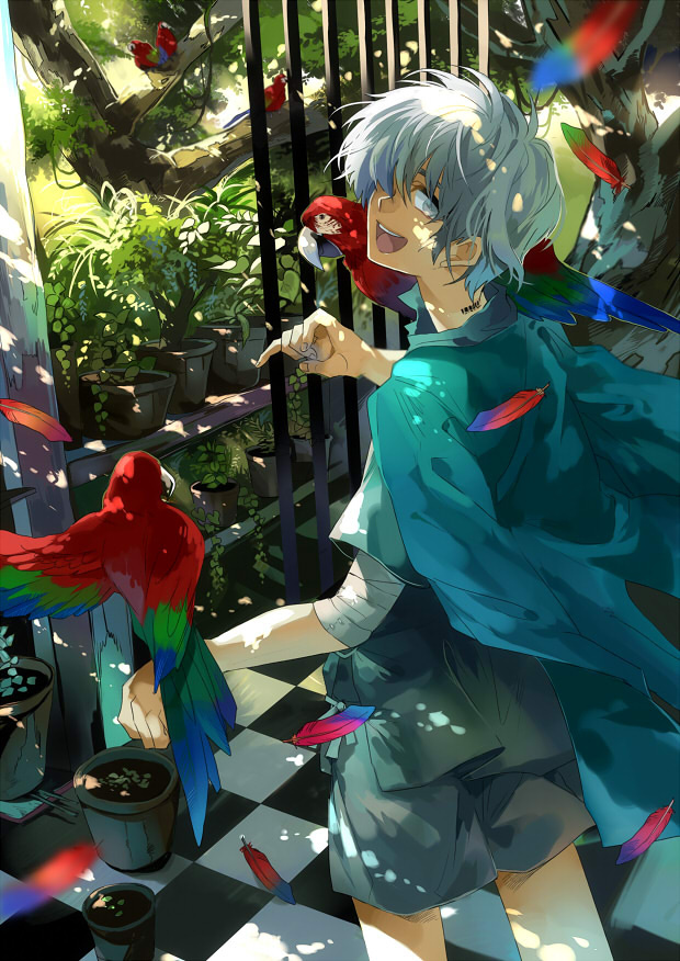 Garden of Imitations 