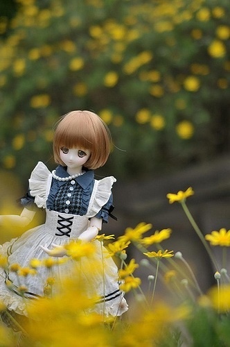 NANOKA (DOLL PHOTO)