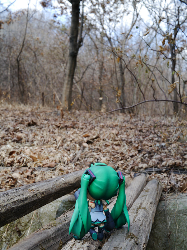 Nendoroid Hatsune Miku Absolute HMO Edition