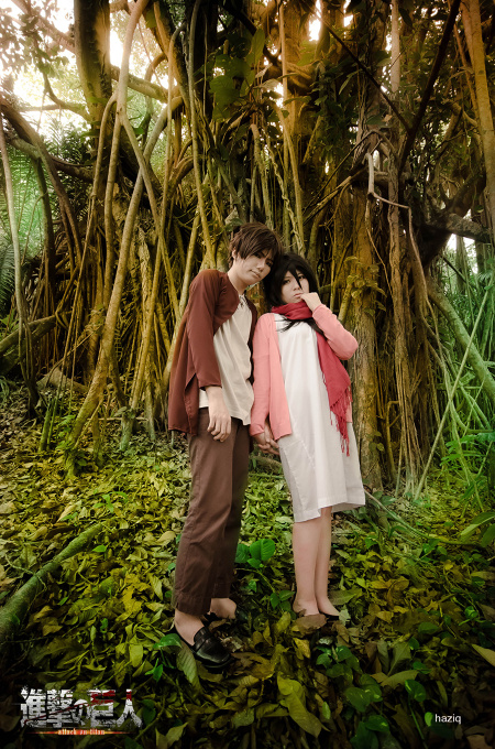 shingeki no kyojin - eren and mikasa