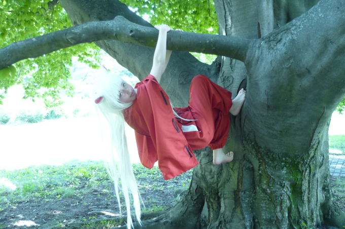 Chibi Inu Yasha tree version