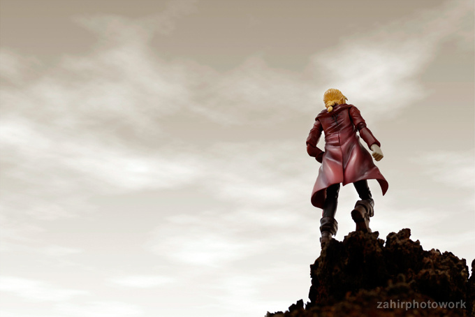 The Distant Image of Their Backs 