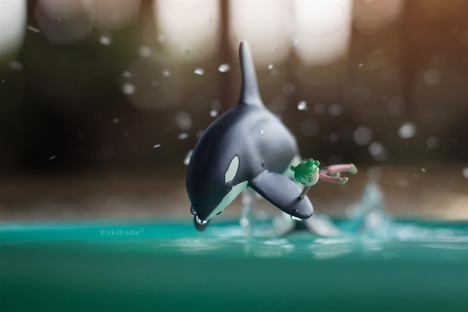 Yotsuba and the Killer Whale