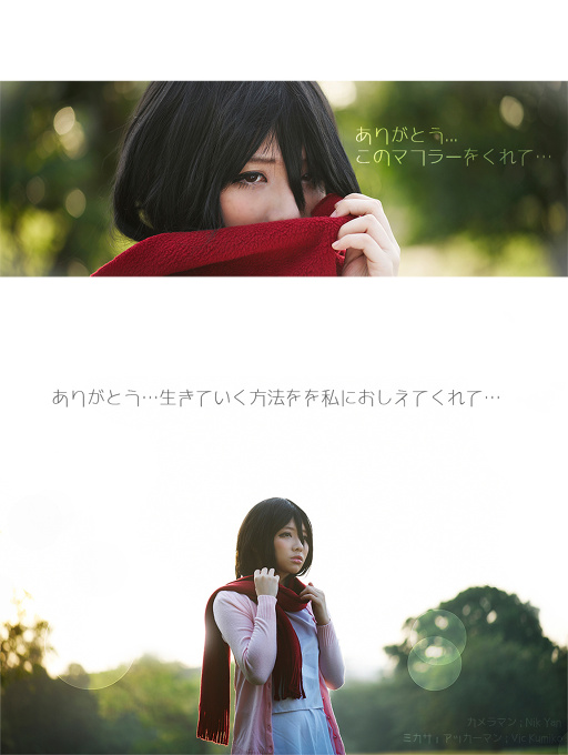 Shingeki No Kyojin : Mikasa Ackerman
