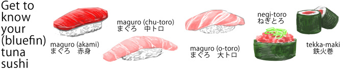 Maguro Sushi