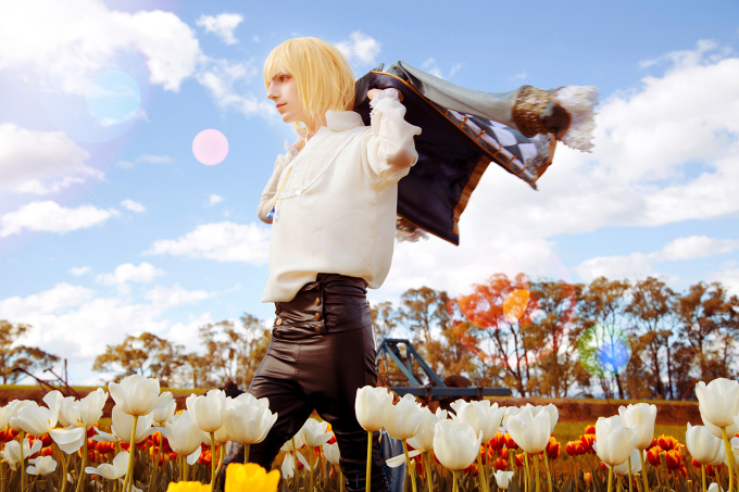 Howl's Moving Castle - Howl