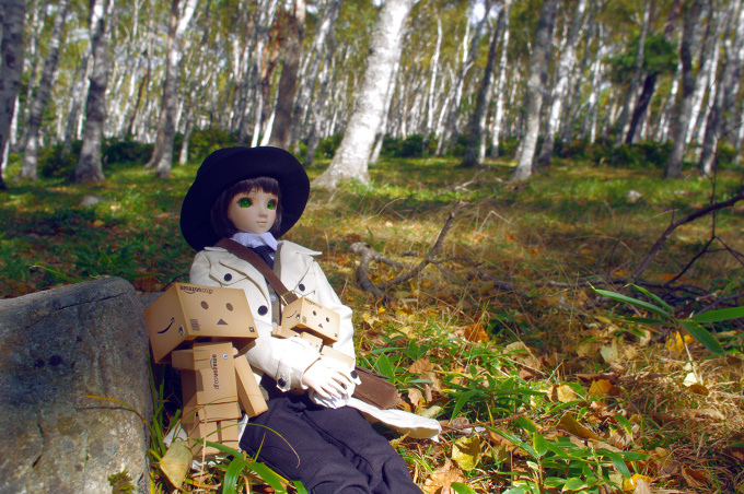 The Wayfarers, Basking in the sun