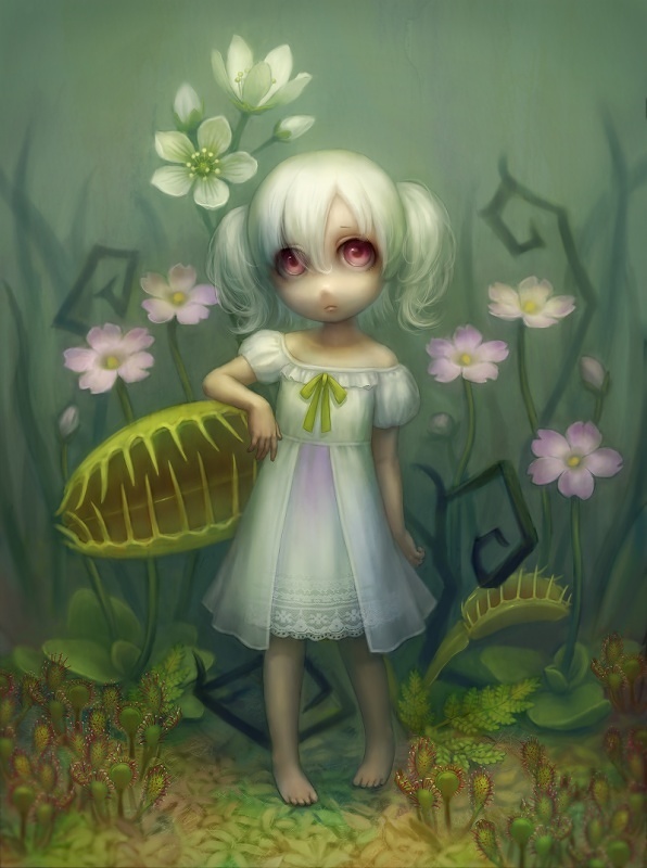 Insectivorous Plants