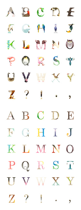 ALPHABET BIRDS