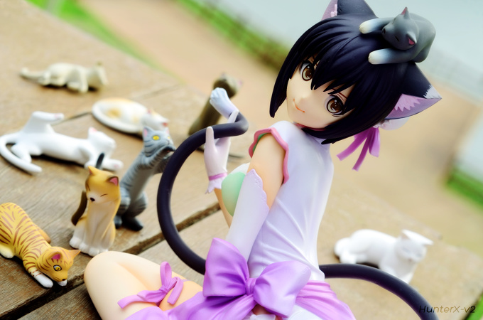 Cats, Cats and more cats!