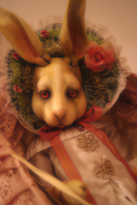 Rabbit