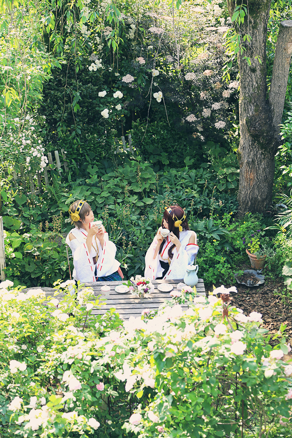 Teatime with Kongo & Hiei