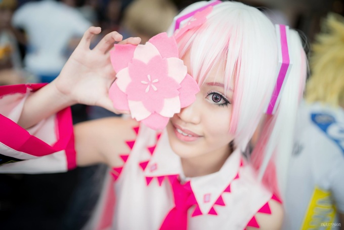 Sakura Miku Cosplay