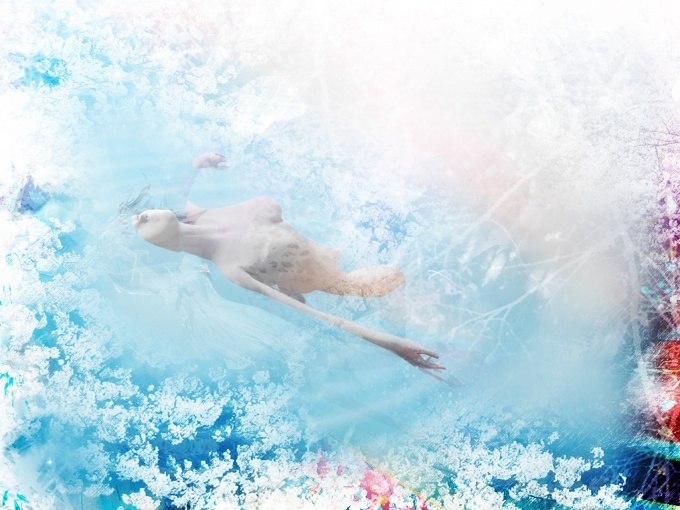 Sleep of the Flowers