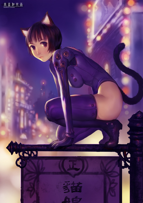CatGirl's Night