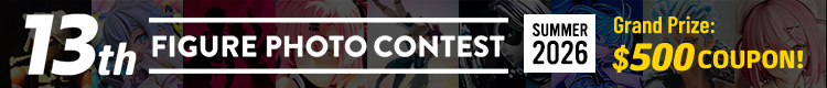 13th Figure Photo Contest